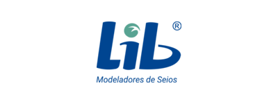 Logo LIB - PROMAG